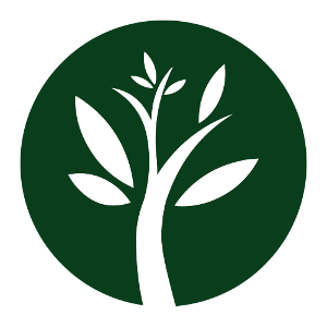 EIE PROPOLI 30ML GTT