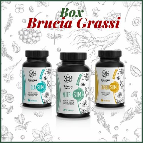 Box Brucia Grassi
